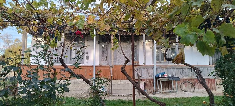 Casă cu 3 camere în Central