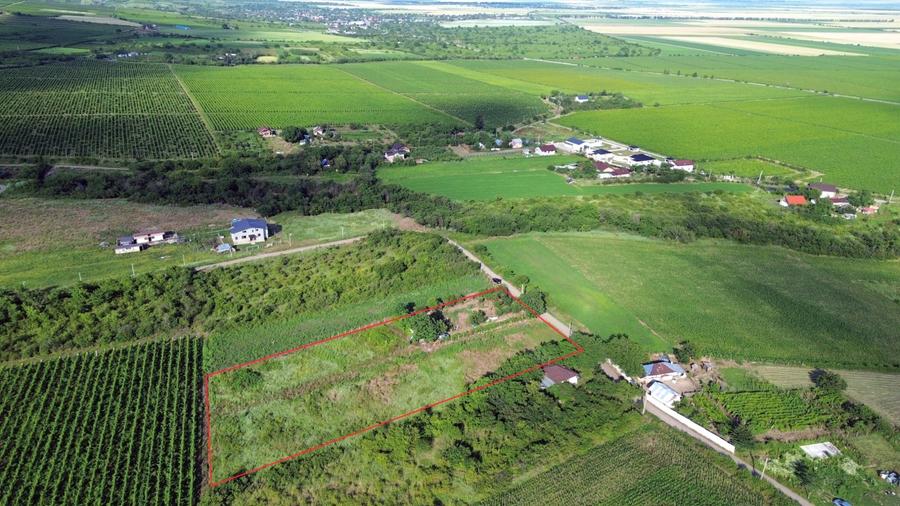 Teren Construcții intravilan de 5555 mp, în Urlați