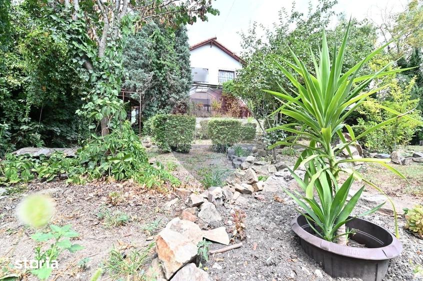 Casă cu 6 camere cu Teren 2000 Mp în Leamna de Jos