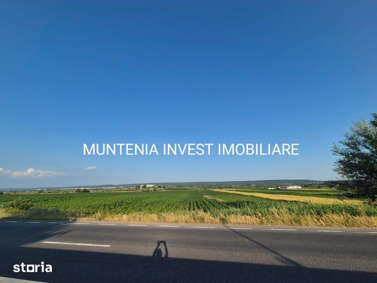 Teren 31703 mp. intravilan Purcareni, Com. Micesti - 2