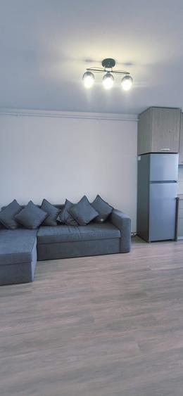 Studio/Apartament de inchiriat Subcetate Sanpetru Brasov - 2