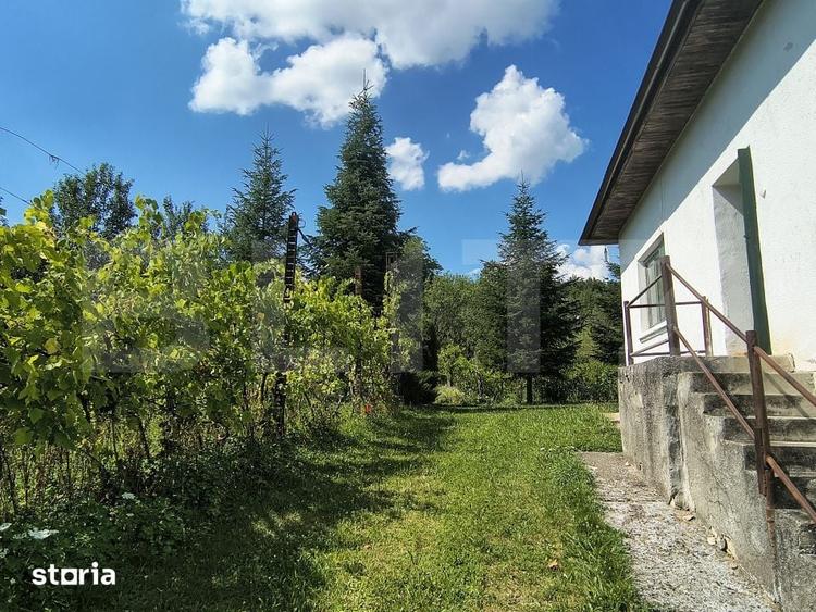 Casă cu 4 camere cu Teren 7729 Mp în Central