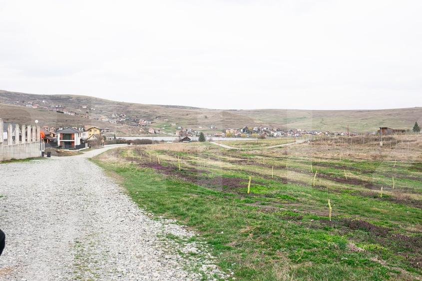 Teren Construcții intravilan de 5800 mp, în Câmpenești