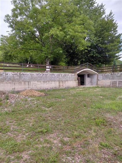 Teren Construcții intravilan de 9600 mp, în Bulz