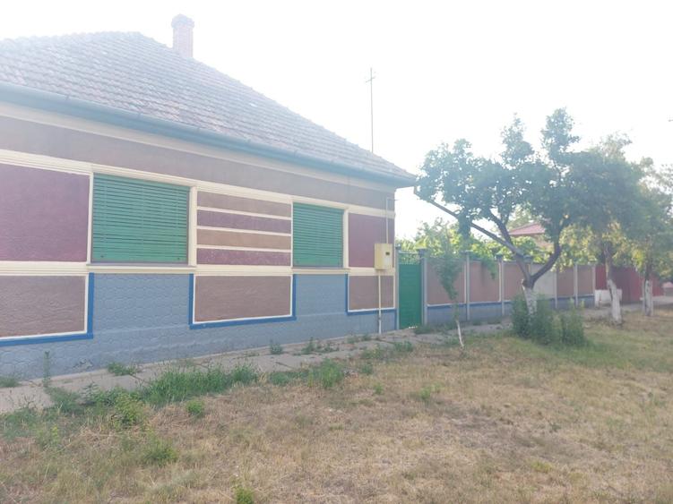 Casa de vanzare in Sofronea, cu livada si teren spatios - 7