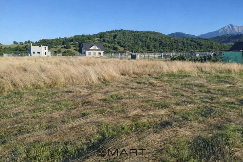 Teren intravilan 1000 mp Rasnov - 4
