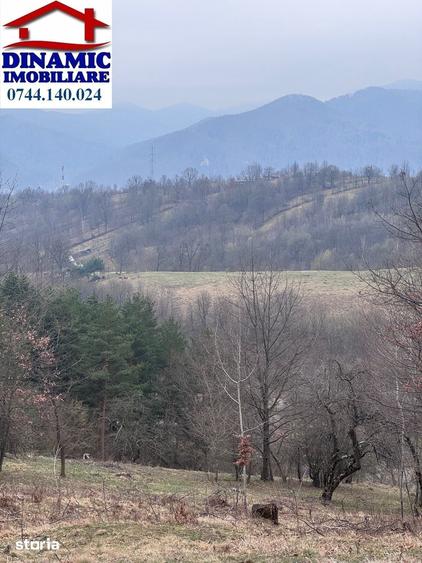 Teren de 6000 mp, în Alexandru cel Bun