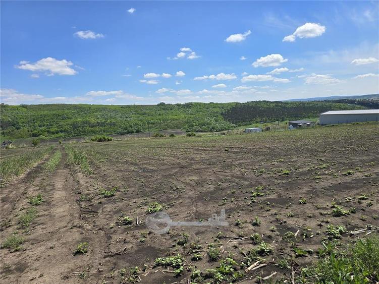 Teren intravilan de 665 mp, în Valea Lupului