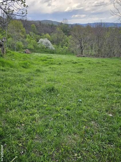 Teren de 949 mp, în Sălătrucel