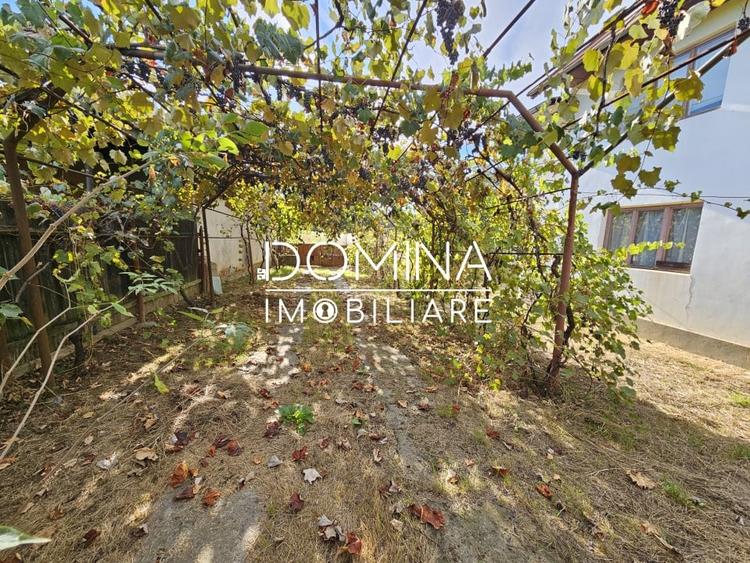 Casă individuală cu 6 camere cu Teren 5351 Mp în Dănești