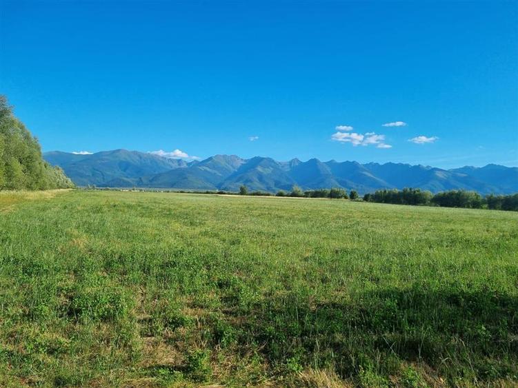 Teren Construcții intravilan de 17529 mp, în Central