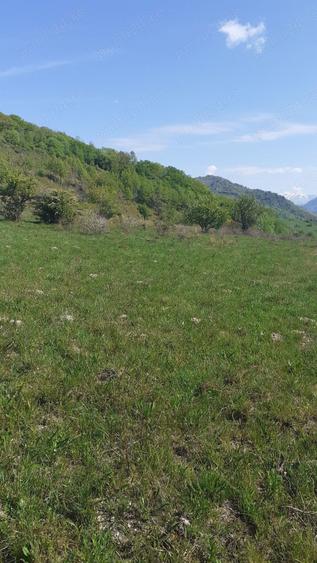 Teren în Cornereva