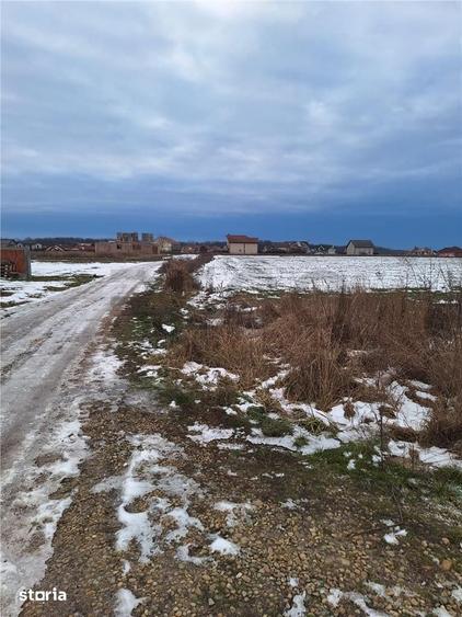 Reco, teren intravilan Sanmartin - 1