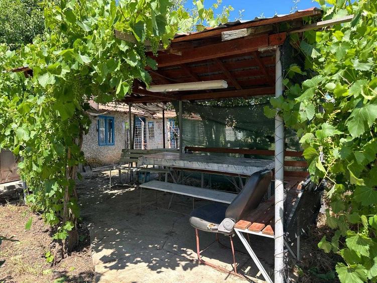 Casa la tara de vanzare in Tarnava, Teleorman locuibila, teren, foisor, hidrofor, 1500mp - 8