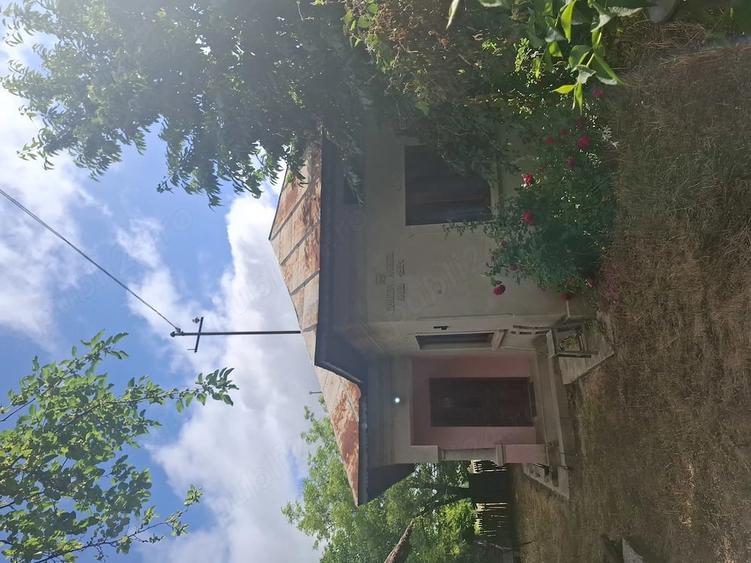 Casa de vanzare in Vulpeni - 2