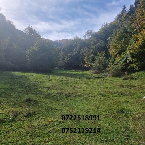 Teren agricol extravilan de 19000 mp, în Dragoslavele
