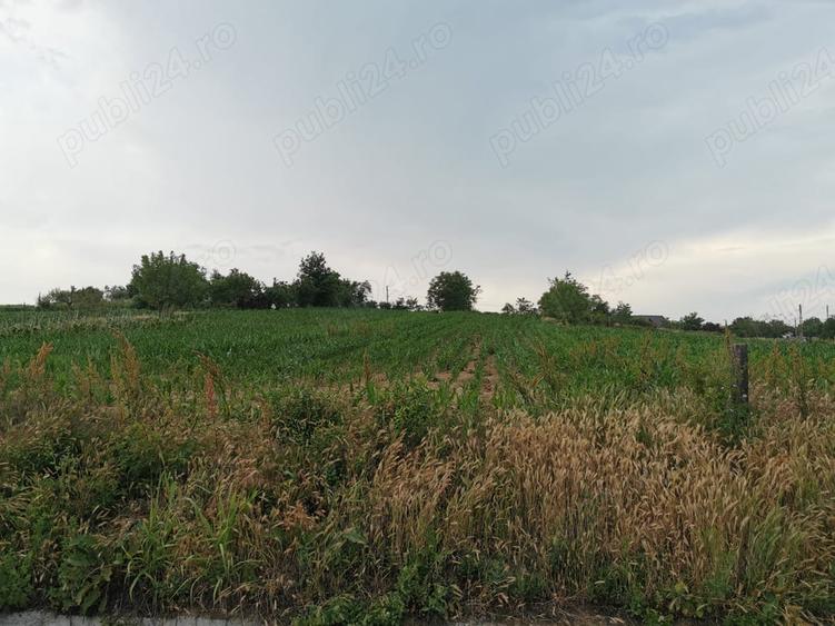 Teren de 2800 mp, în Șopârlița