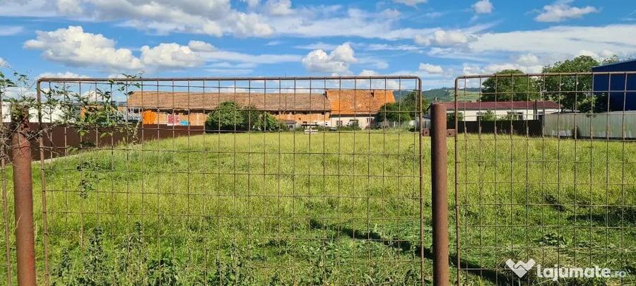 Teren în Cărpiniș