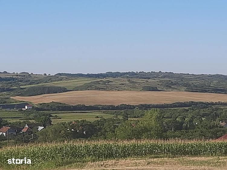 Teren de 894 mp, în Central