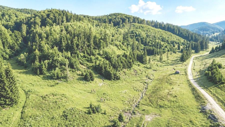 Teren Construcții intravilan de 2763 mp, în Poiana Brașov