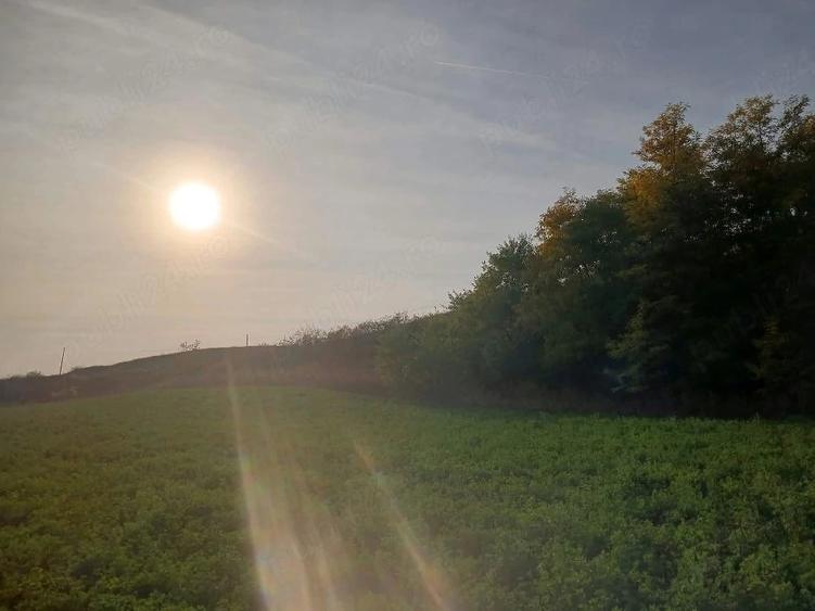 Teren de 1600 mp, în Mănărade