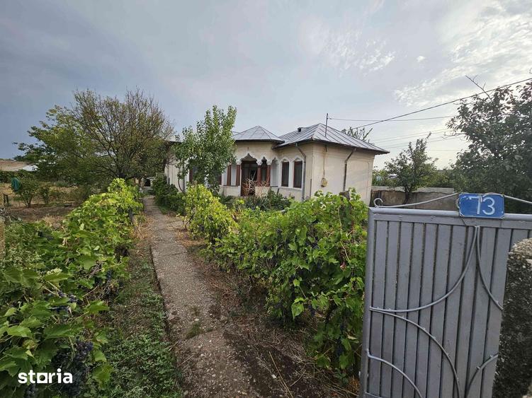 Casa 6 camere+anexa, teren 2000 mp, pozi?ie centrala Vi?ina Olt 31900 - 4