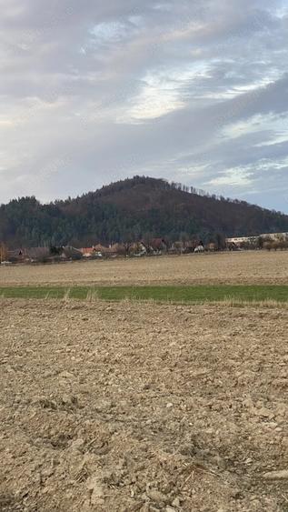 Teren de 7884 mp, în Central