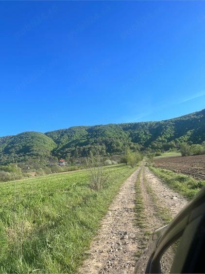 Teren de 5400 mp, în Copalnic