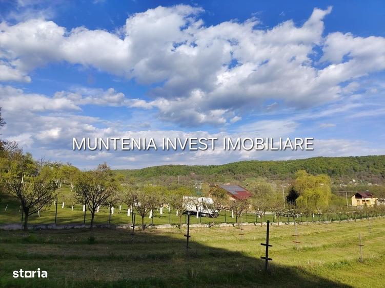 Spațiu comercial, în Albota