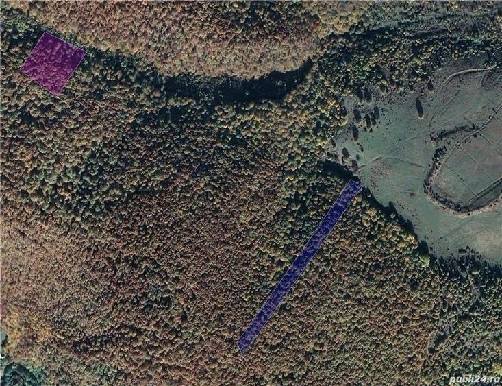 Teren de 18800 mp, în Teliucu Inferior
