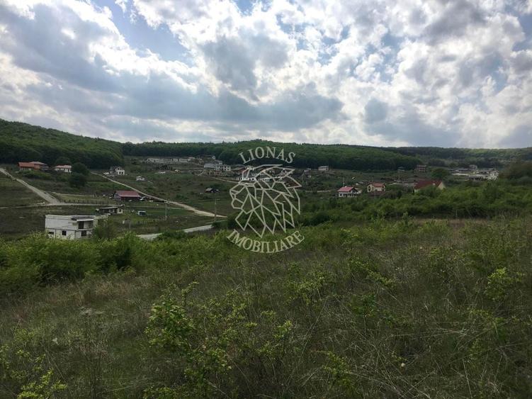 Teren Construcții intravilan de 1550 mp, în Nord-Est