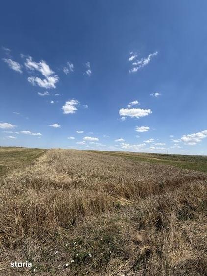 Teren de 3800 mp, în Malu Mare