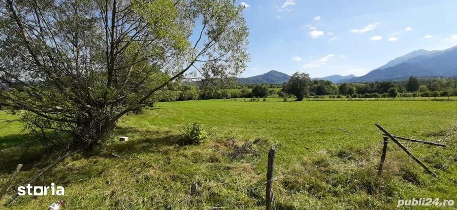 Teren de 9350 mp, în Bran