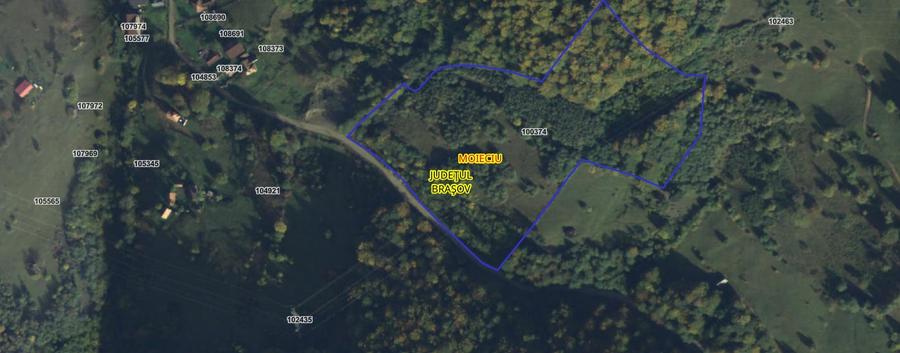 Teren agricol extravilan de 31733 mp, în Moieciu de Jos