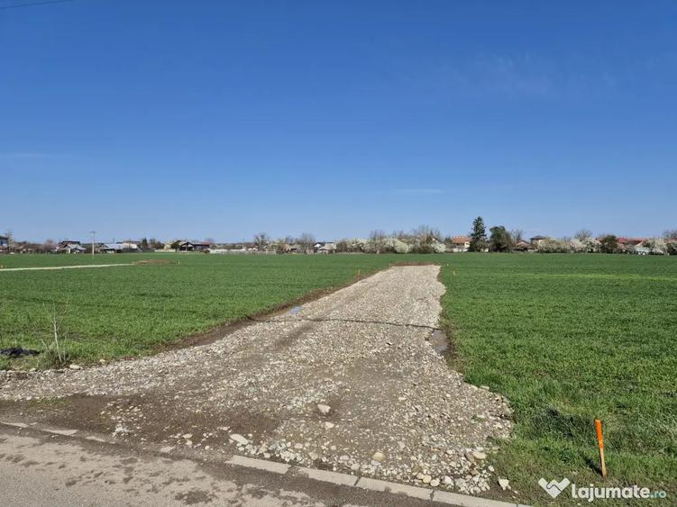 Teren de 530 mp, în Ciofliceni