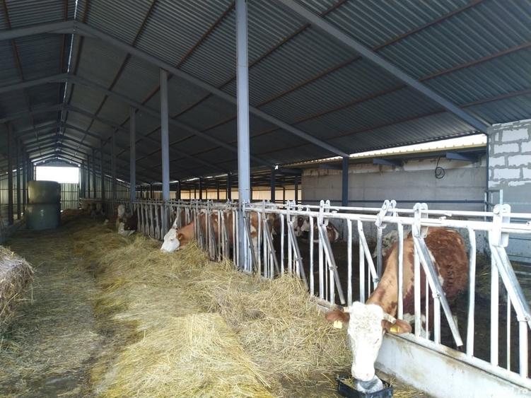 Spațiu comercial, de 1,000 mp, în Izvoru Crișului