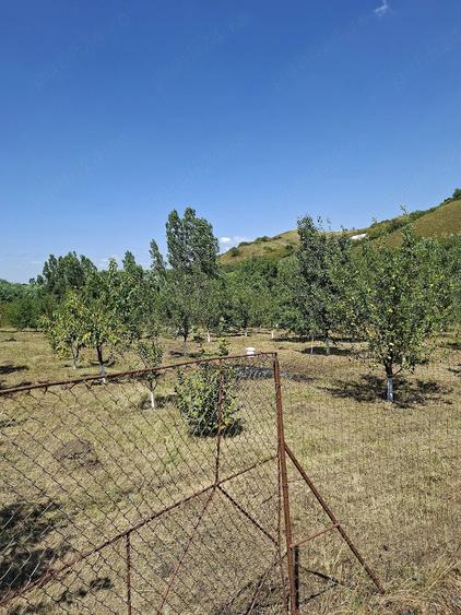 Teren de 4800 mp, în Căptălan