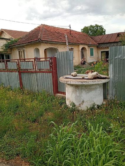 Teren de 2000 mp, în Central