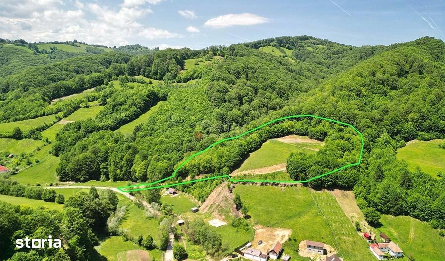 Teren de 16000 mp, în Holbav