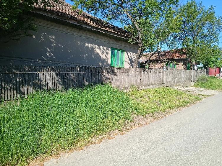Casă cu Teren 800 Mp în Central
