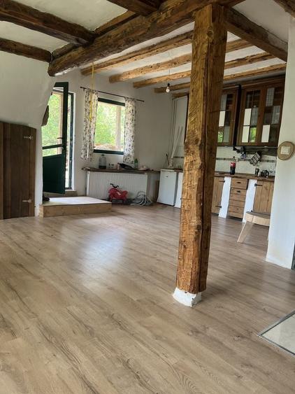 Casă cu 4 camere cu Teren 9000 Mp în Săcuieu