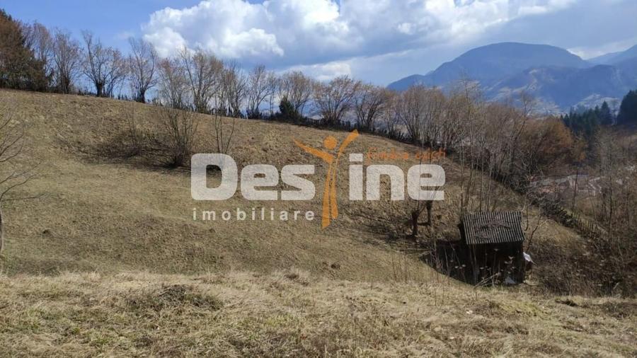Teren agricol extravilan de 5000 mp, în Rucăr