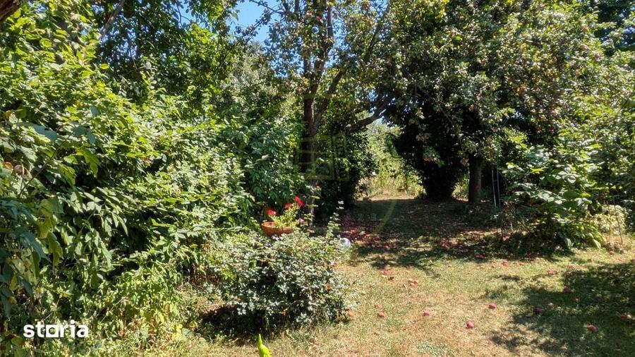 Teren intravilan cu poveste la Tocile - 1100 mp cu livada, cabana + ru - 18