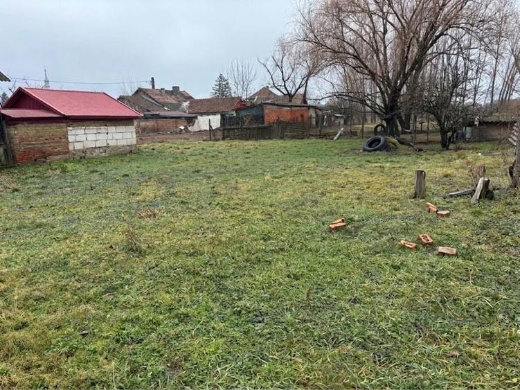 Teren intravilan 994 mp Sacueni, Str. Kazinczy Ferenc (la 300m de centru) - 1
