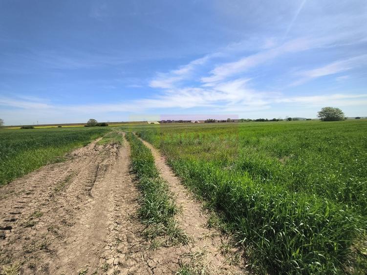 Teren Construcții intravilan de 2200 mp, în Dărăști-Ilfov