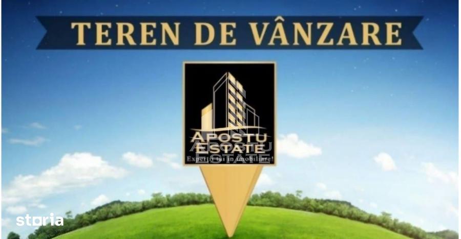 Teren mixt de 10.000 mp, ideal pentru investitie, Barsa - 2