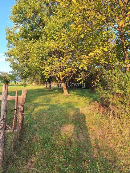 Teren cu casa si anexe - centru comuna, acte in regula, proprietar