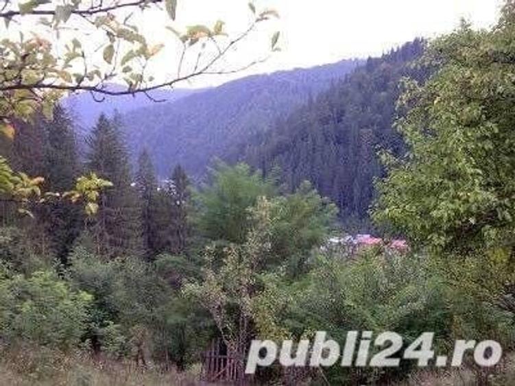 Teren de 5062 mp, în Voineasa