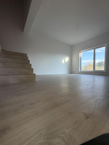 Casă cu 4 camere în 1 Decembrie