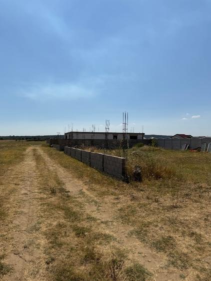 Teren Construcții extravilan de 800 mp, în Șimian